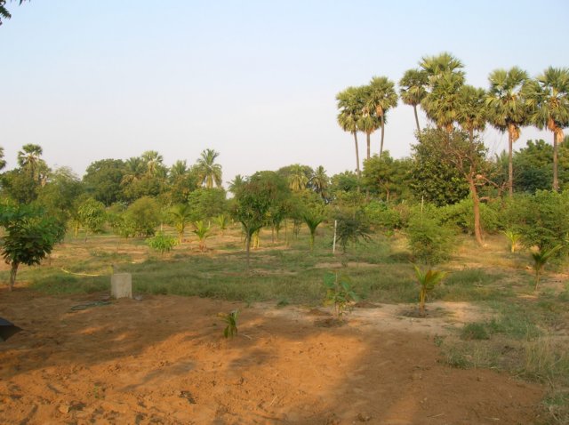 anotherview2.jpg