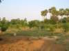 anotherview2_small.jpg