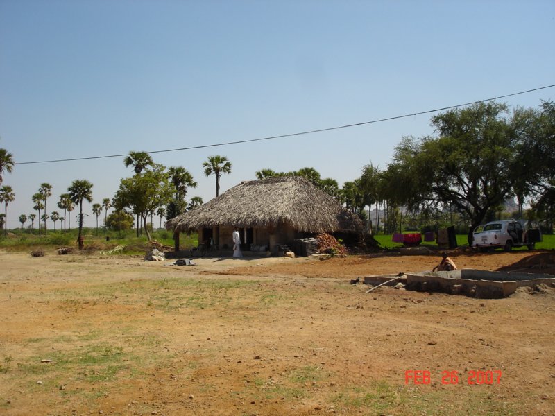 thatchedhut.jpg